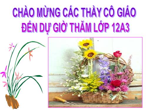 Tuần 13. Sóng