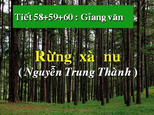 Tuần 22. Rừng xà nu