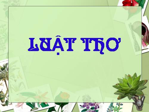 Tuần 8. Luật thơ