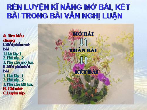 Tuần 26. Rèn luyện kĩ năng mở bài, kết bài trong bài văn nghị luận