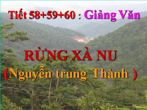 Tuần 22. Rừng xà nu