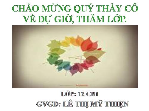 Tuần 8. Việt Bắc