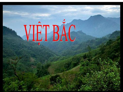 Tuần 8. Việt Bắc