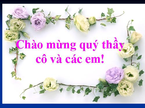 Tuần 13. Sóng