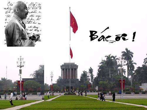 Tuần 14. Đọc thêm: Bác ơi!