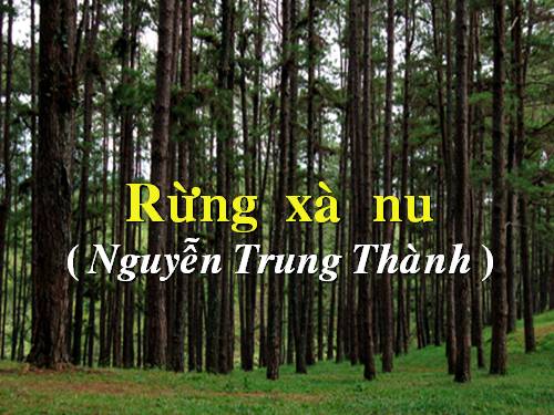 Tuần 22. Rừng xà nu