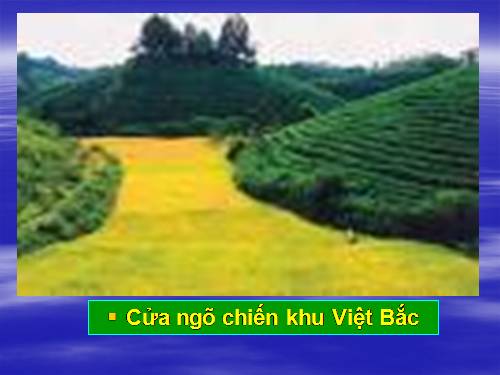 Tuần 8. Việt Bắc