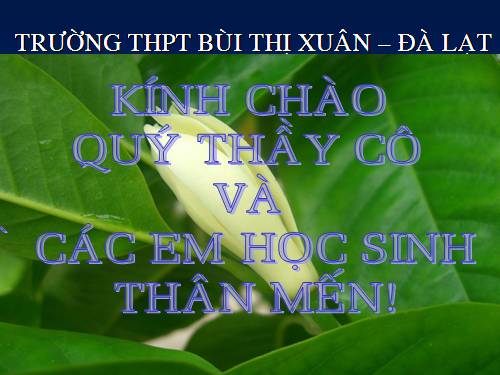 Tuần 29. Hồn Trương Ba, da hàng thịt