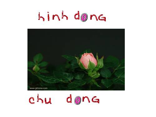 Chữ động