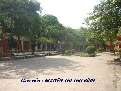 Tuần 27. Số phận con người