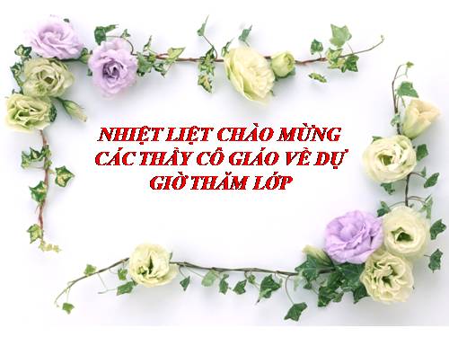 Tuần 28. Ông già và biển cả