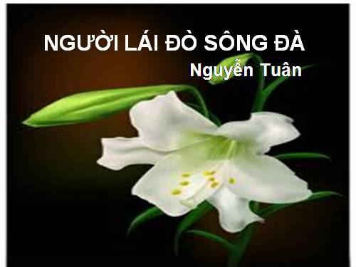 Tuần 16. Người lái đò Sông Đà