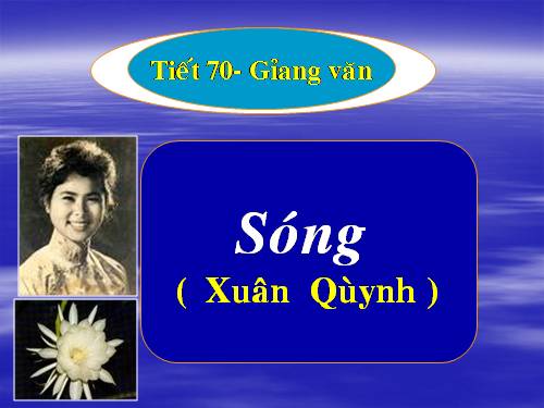 Tuần 13. Sóng