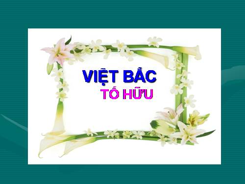 Tuần 8. Việt Bắc