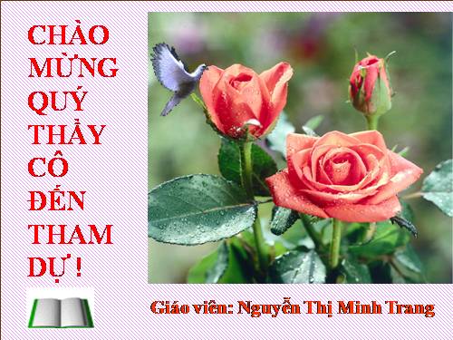 Tuần 7. Tây Tiến