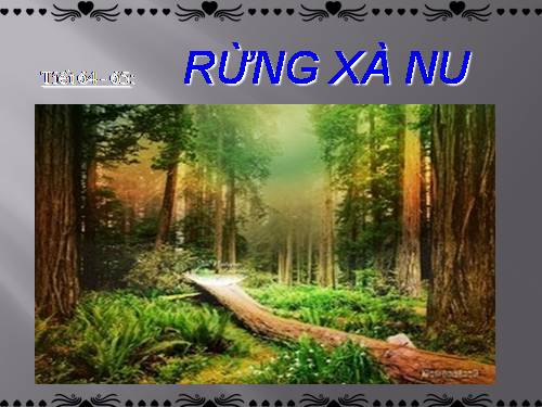 Tuần 22. Rừng xà nu