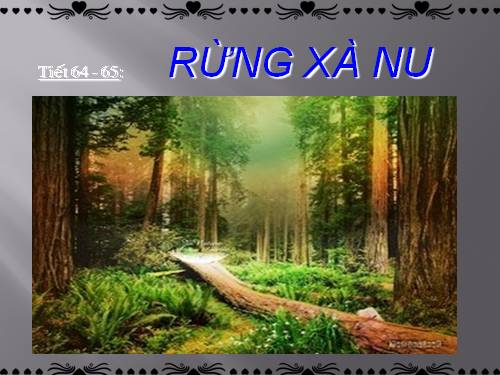 Tuần 22. Rừng xà nu