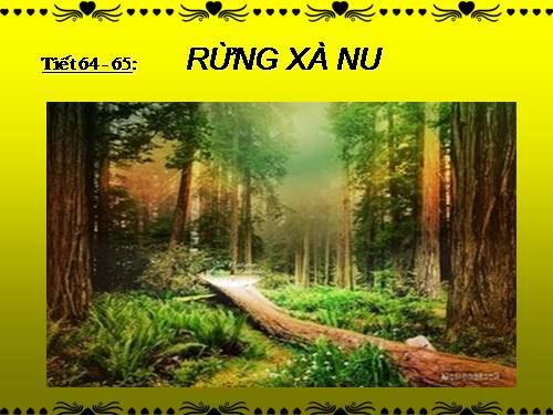 Tuần 22. Rừng xà nu