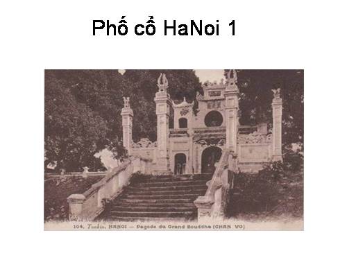 Phố cổ HaNoi1