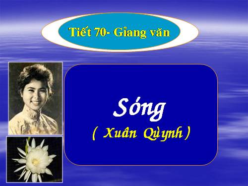 Tuần 13. Sóng