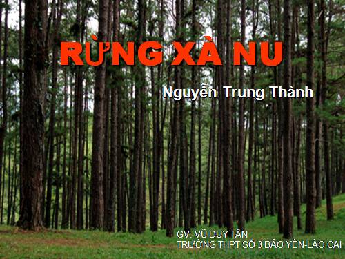 Tuần 22. Rừng xà nu