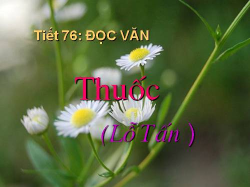 Tuần 26. Thuốc