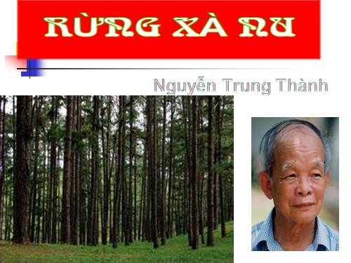 Tuần 22. Rừng xà nu