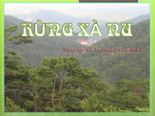 Tuần 22. Rừng xà nu