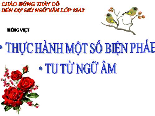 Tuần 11. Thực hành một số phép tu từ ngữ âm