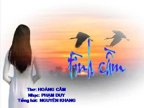 Tình Cầm