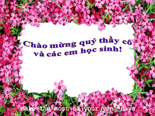 Tuần 8. Việt Bắc