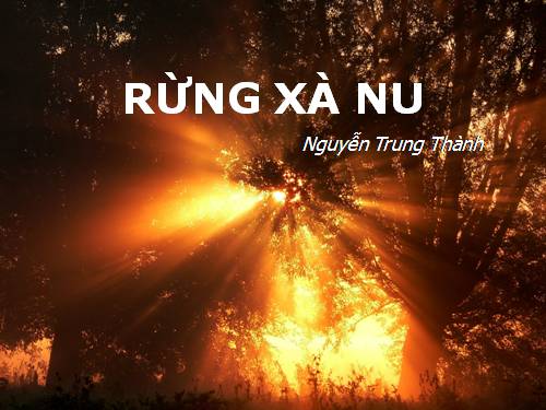 Tuần 22. Rừng xà nu