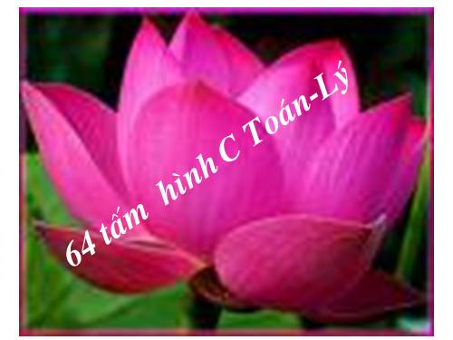 64 TẤM HINH C-TOÁN-LÝ