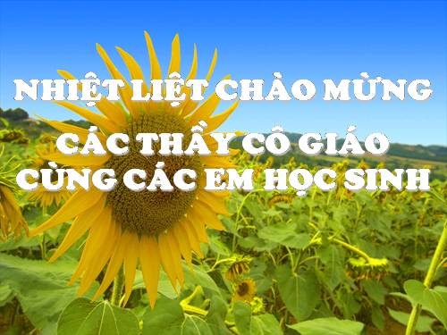 Tuần 4. Nghị luận về một hiện tượng đời sống