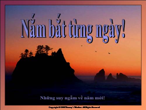 Nắm bắt từng ngày .