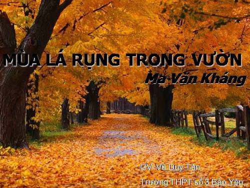 Tuần 25. Đọc thêm: Mùa lá rụng trong vườn