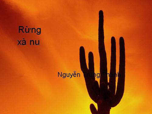 Tuần 22. Rừng xà nu