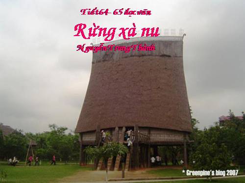 Tuần 22. Rừng xà nu