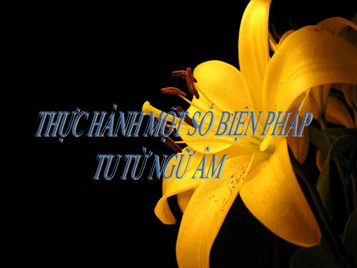 Tuần 11. Thực hành một số phép tu từ ngữ âm