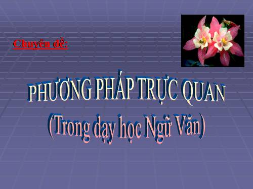 Chuyên đề báo cáo cấp trường