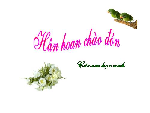 Tuần 15. Quá trình văn học và phong cách văn học