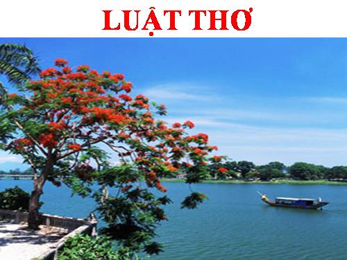 Tuần 8. Luật thơ