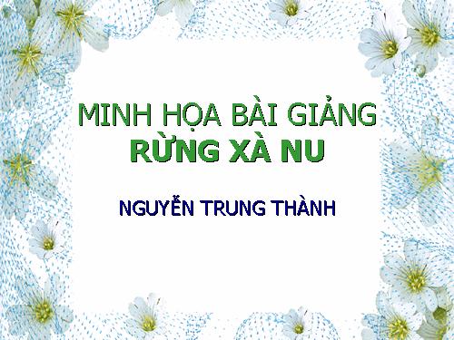 Tuần 22. Rừng xà nu