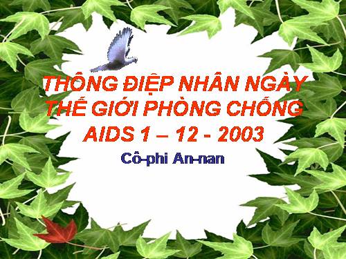 Tuần 6. Thông điệp nhân Ngày Thế giới phòng chống AIDS, 1 -12-2003