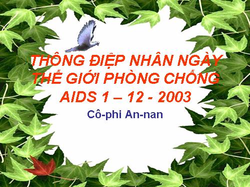 Tuần 6. Thông điệp nhân Ngày Thế giới phòng chống AIDS, 1 -12-2003