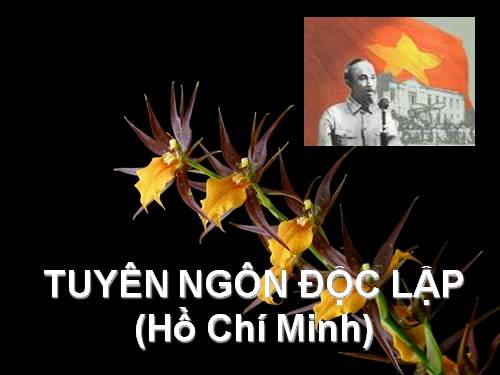 Tuần 2. Tuyên ngôn Độc lập