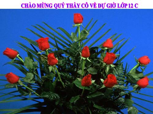 Tuần 16. Người lái đò Sông Đà