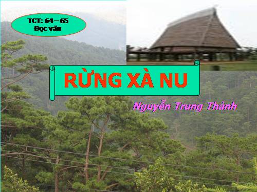 Tuần 22. Rừng xà nu