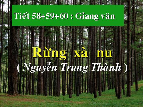 Tuần 22. Rừng xà nu