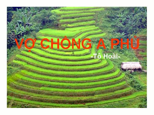 Tuần 19. Vợ chồng A Phủ